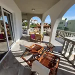 Oasis * ザダル
