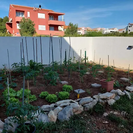 Oasis Apartament *