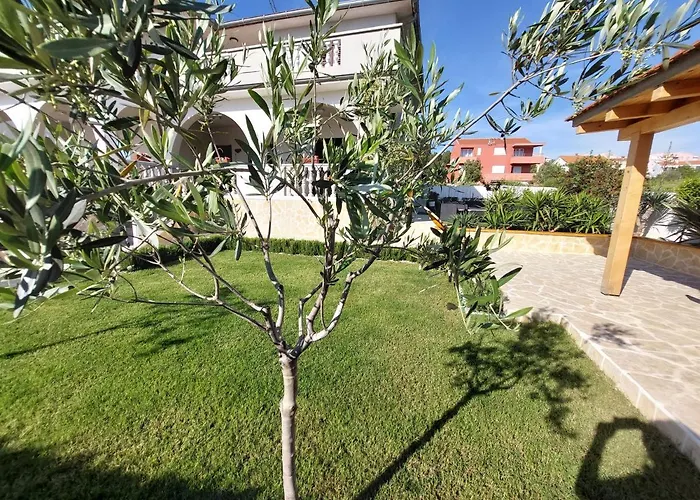 Oasis